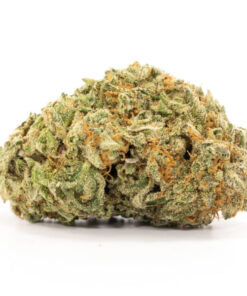 Blueberry Diesel
