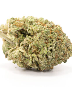 Lemon Tree