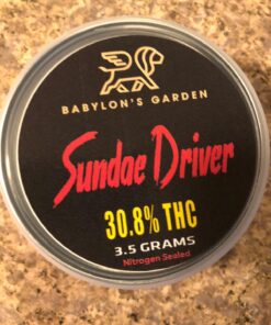 Sundae Driver(Min. Order:10)
