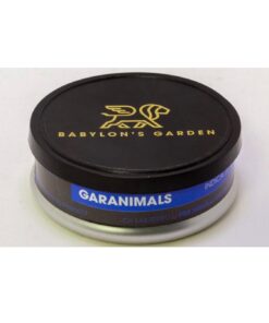 Garanimals(Min. Order:10)