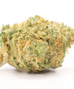 White Widow Marijuana Strain
