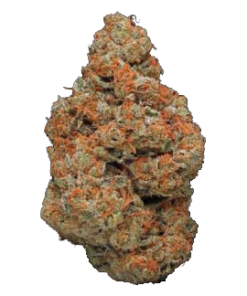 ACDC Marijuana Strain