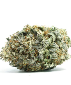 Acapulco Gold