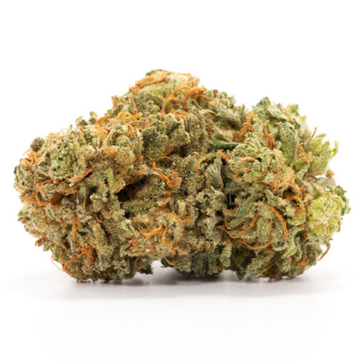 Master Kush