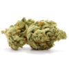 Chocolate Diesel Cannabis