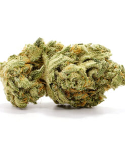 Chocolate Diesel Cannabis