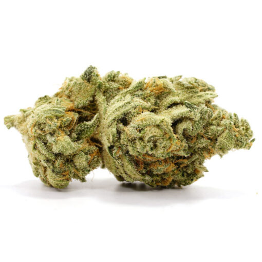 Chocolate Diesel Cannabis