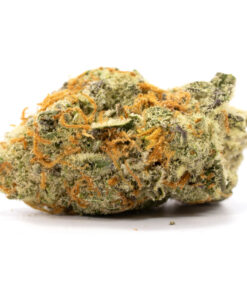 Purple Tangie Marijuana