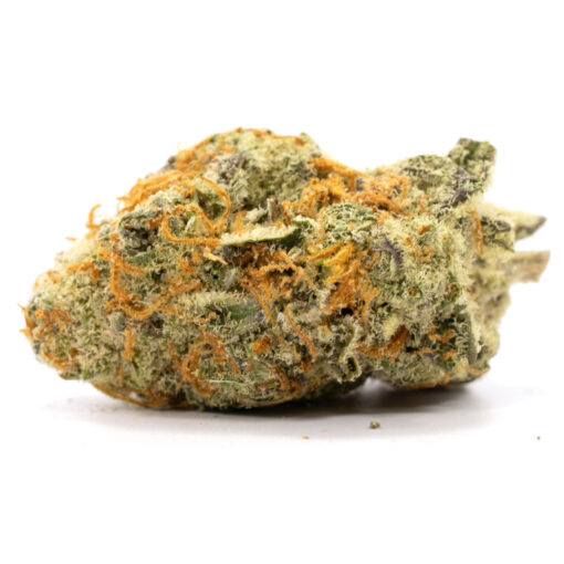 Purple Tangie Marijuana