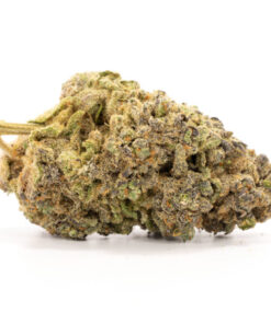 Purple Urkle