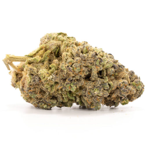 Purple Urkle