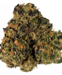 BUY SUNSET SHERBERT WEED ONLINE