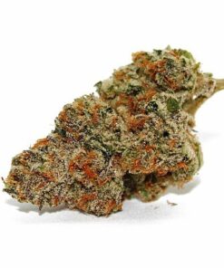 Key Lime Pie Kush