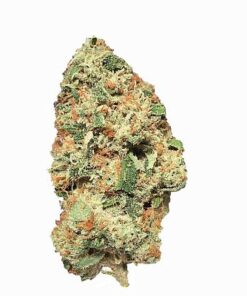 Abbot Kinney OG