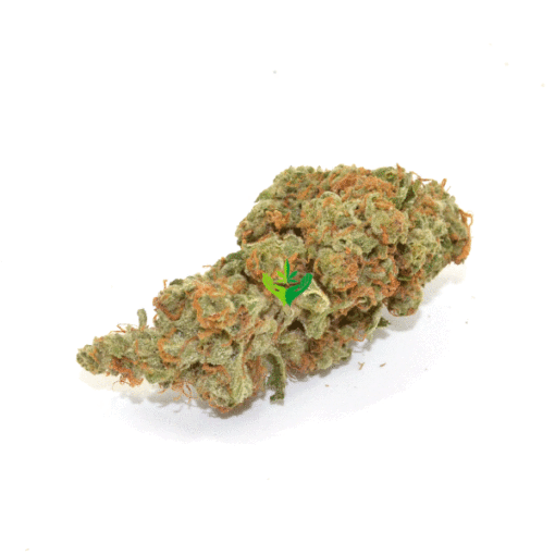 Champagne Kush