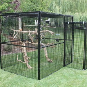 Parrot Cages And Toys