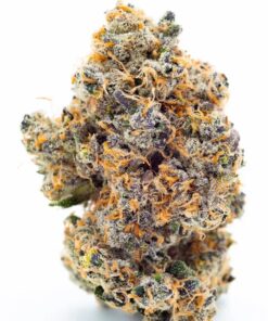 Gelato