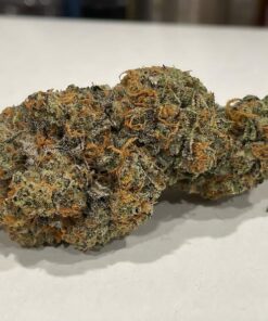 cannabis