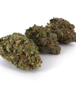Frosted Gelato (AAAA)