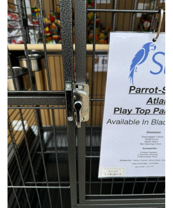 Parrot-Supplies Atlanta Play Top Parrot Cage Antique - Image 2