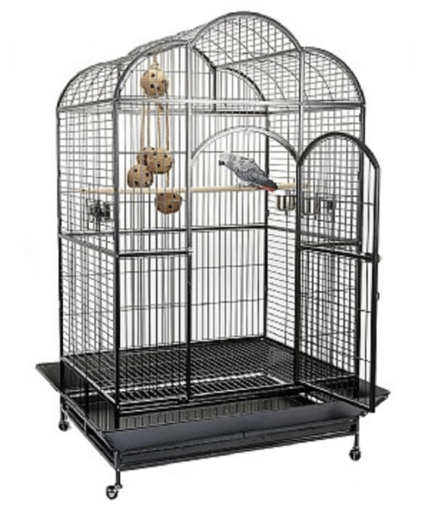 Liberta Atlantis Large Dome Top Parrot Cage